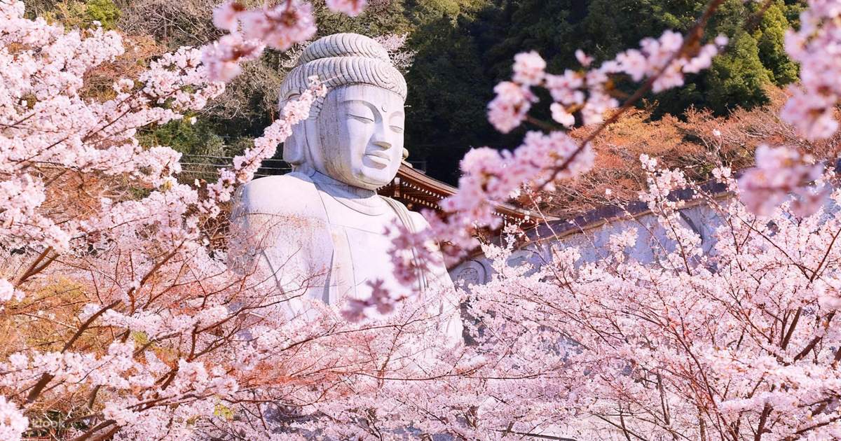 4名様から催行 日本の秘境で桜を鑑賞 - 壺阪寺の桜大仏・奈良公園の